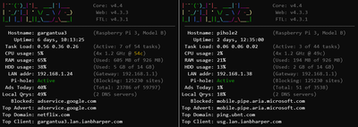 Dual Pi-Holes in action!